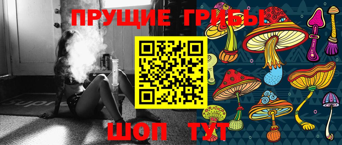 Углич  Псилоцибиновые грибы Psilocybine cubensis  Вход с VPN 